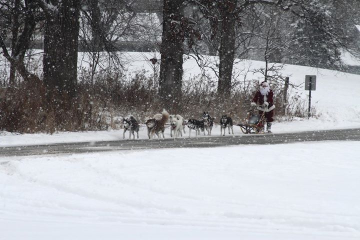 Woodland Santa's Holiday Workshop
