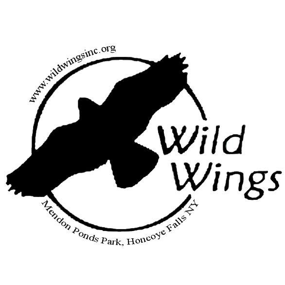 Wild Wings and Teddy the Snowy Owl Visit The Bird House!, The Bird