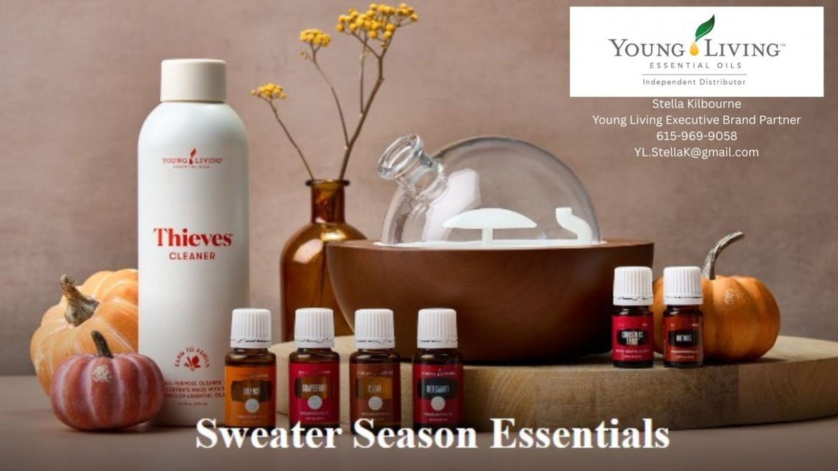 Parking Venice, 17 December | Event in Solana Beach | AllEvents