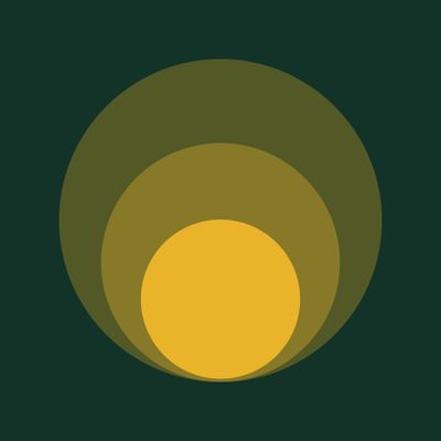 N of One Health logo