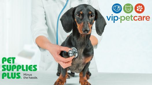vip petcare clinic pet supplies plus