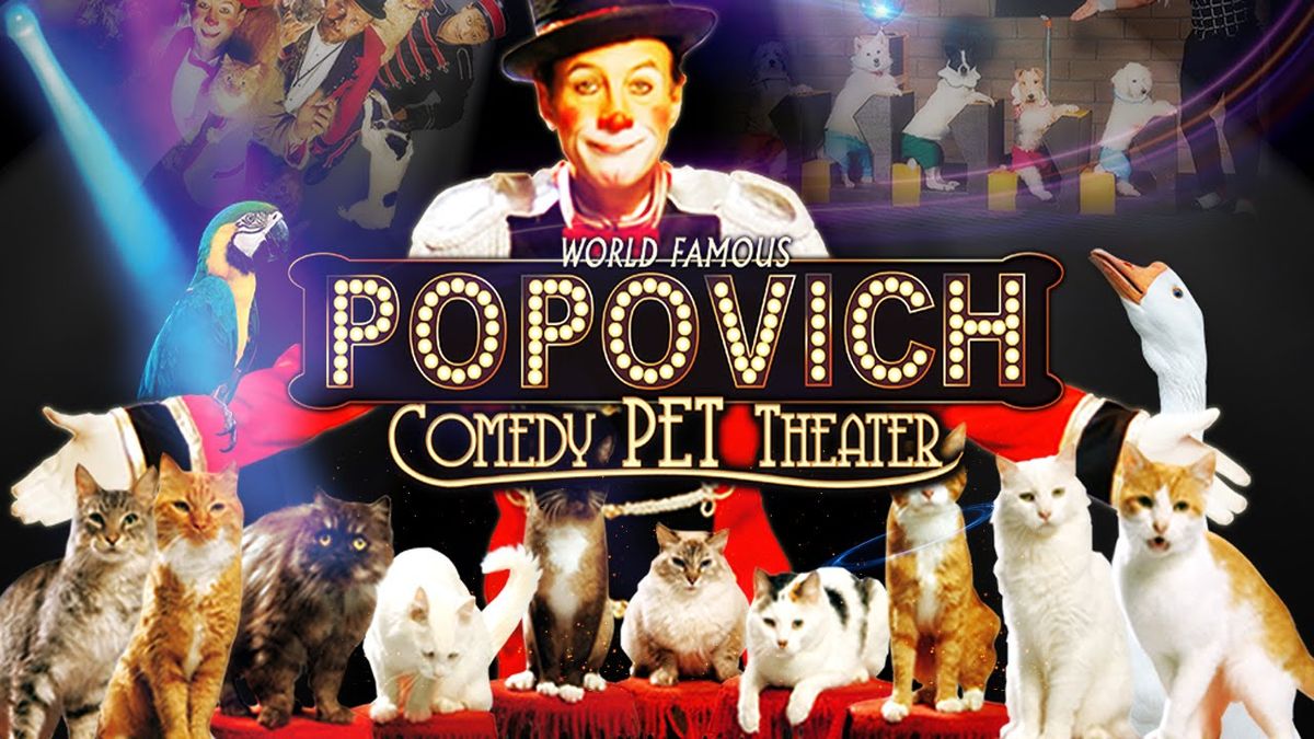 Popovich Comedy Pet Theater, 27 May | Event in Las Vegas | AllEvents