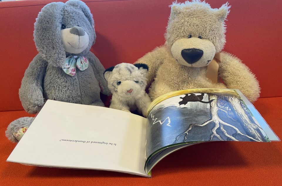 Storytime at Ashford Library, Ashford Library, Ashford Gateway Plus