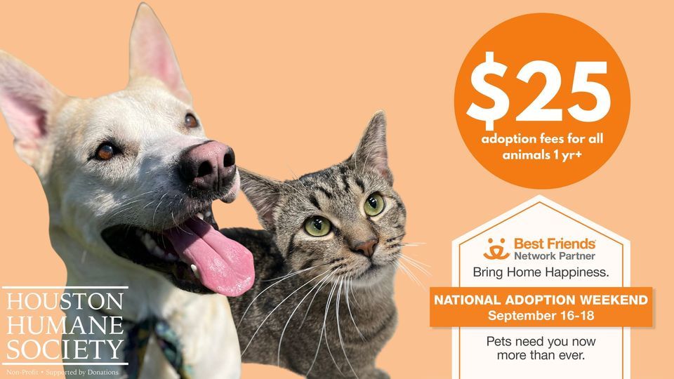 Best Friends: National Adoption Weekend, Houston Humane Society, September 16 to September 18 Best Friends: National Adoption Weekend, Houston Humane Society, September 16 to September 18