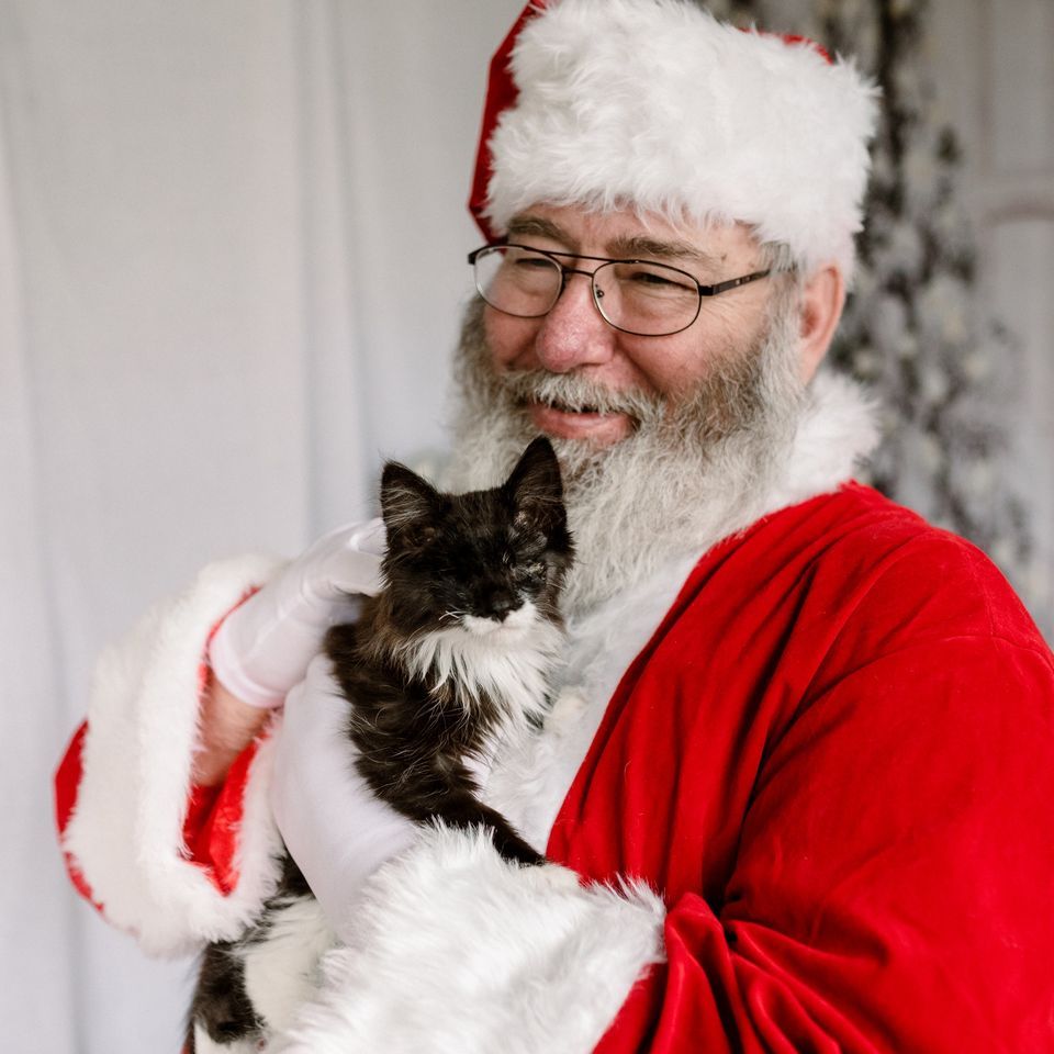 Pet Photos With Santa Paws Chow Hound Pet Supplies 734 28th St SE pet-photos-with-santa-paws-chow-hound-pet-supplies-734-28th-st-se