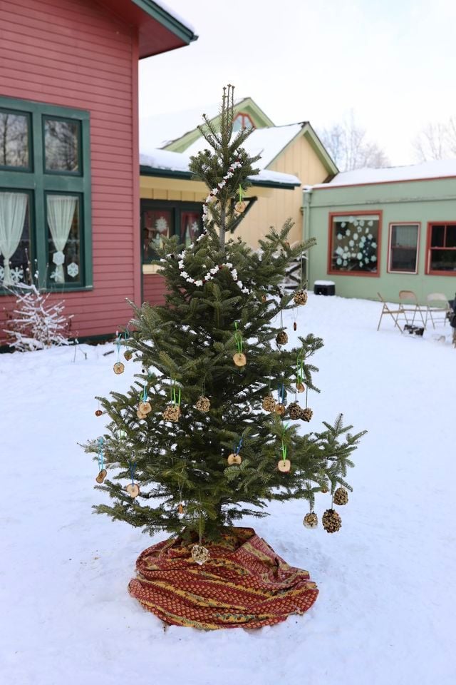 Growing Together Winter Break Festival , Minnesota Waldorf School