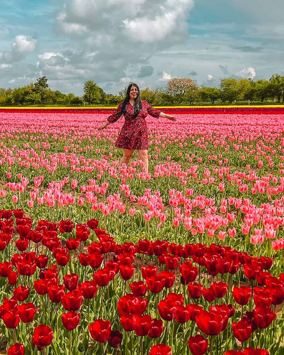 The Tulips | Event in Brooklyn | AllEvents