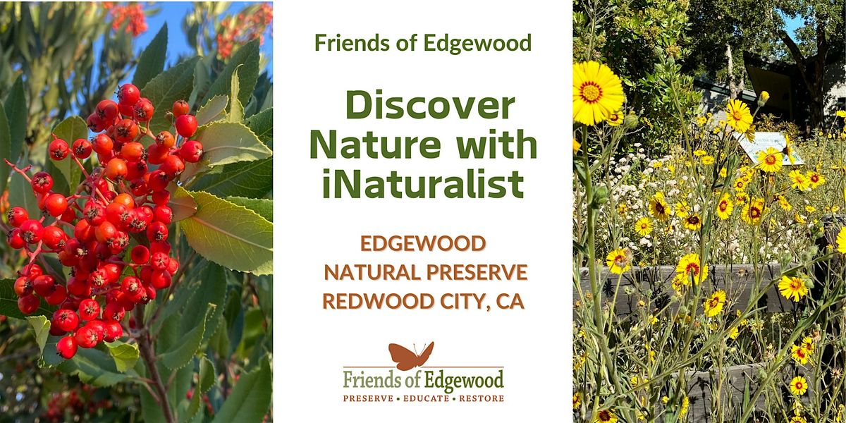 Special Discover Nature with the iNat App at Edgewood Natural Preserve, 29 November | Event in Redwood City