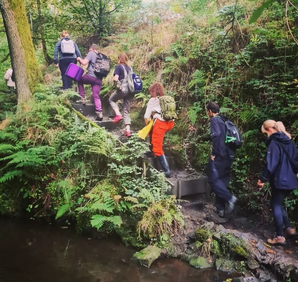 forest-frequency-hebden-bridge-yorkshire-haworth-9-december-2023