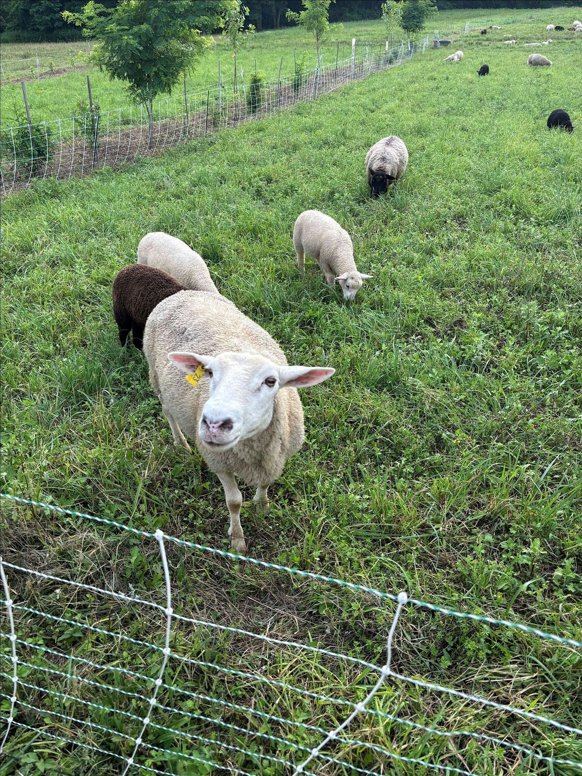 New And Beginning Farmer Seminar, 17 January | Event in Acra | AllEvents