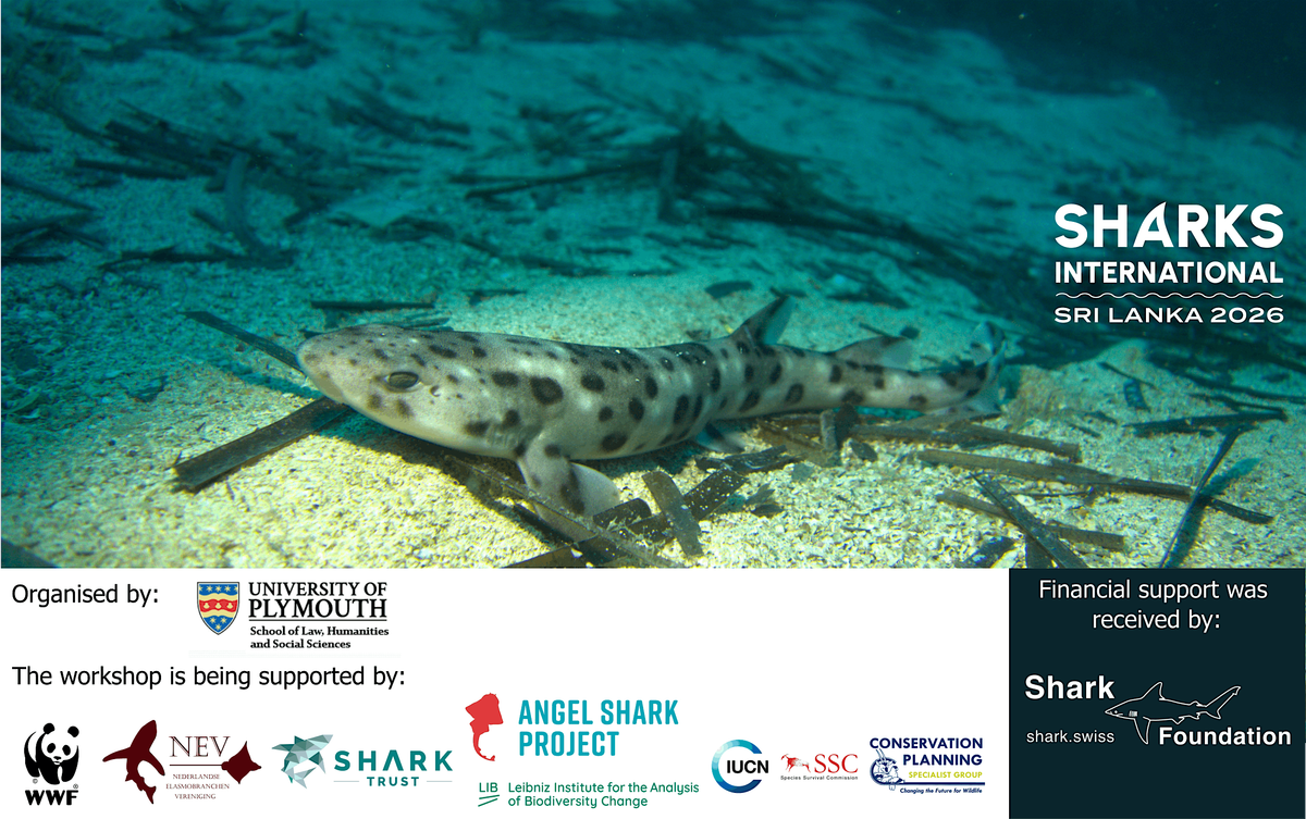 Workshop- Conservation Planning for Sharks, 2 May | Event in කොළඹ | AllEvents