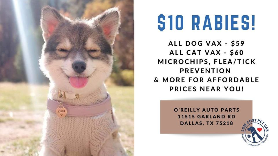 Dallas Low Cost Pet Vaccinations (Garland Rd), O'Reilly Auto Parts