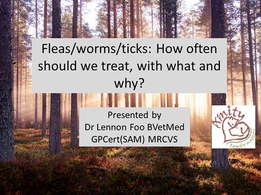 Fleas worms ticks How Often Should We Treat With What And Why Forde fleas-worms-ticks-how-often-should-we-treat-with-what-and-why-forde