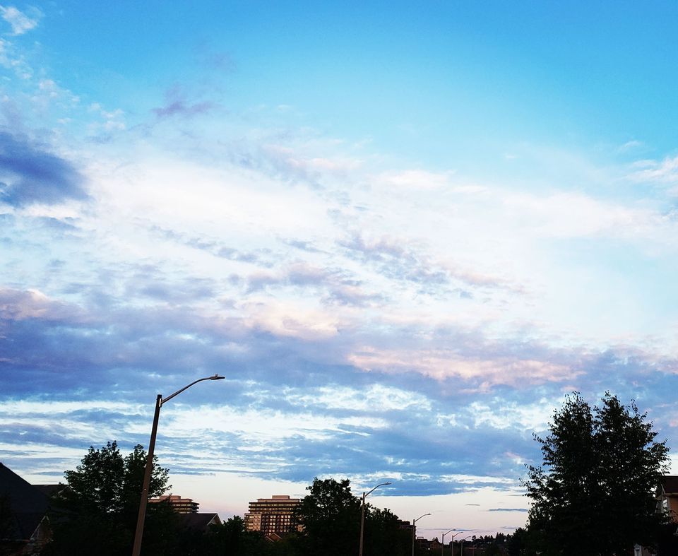 Ambers nature Art exhibit. , Kloepfer Custom Framing and Gallery, Guelph, November 3 2023