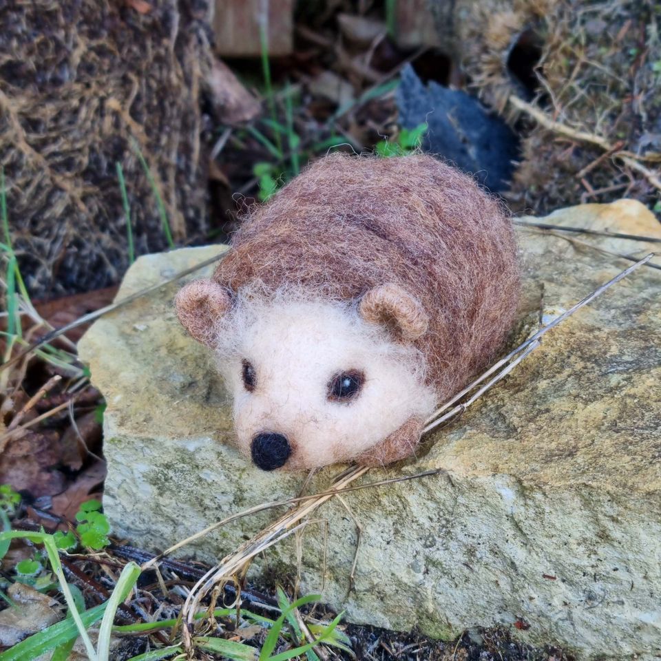 Beginners Needle Felting Liphook, Hampshire, March 16 2024