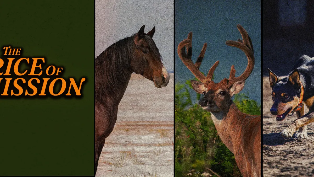 Turnpike Troubadours, Marcus King, Charles Wesley Godwin, Blackberry Smoke, Paul Cauthen, Evan Honer, Silverada, Vincent Neil Emerson, Drayton Farley, Cole Chaney, Sunny Sweeney, Leah Blevins, Joe Stamm Band, Cristina Vane, Dallas Moore, Wild Horses, Sons of Habit in Madison, 4 September