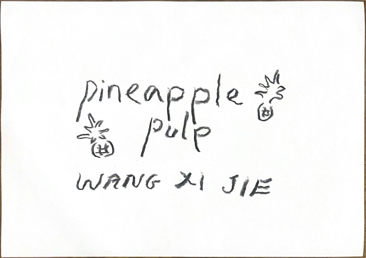 Pineapple Pulp – Paper-making As Material Archive with Wang Xi Jie, 17 January | Event in Queenstown | AllEvents