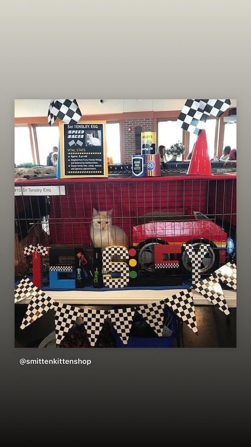 Smitten Kitten 4th Annual Community Cat Show Windsor Smitten Kitten 4th Annual Community Cat Show Windsor