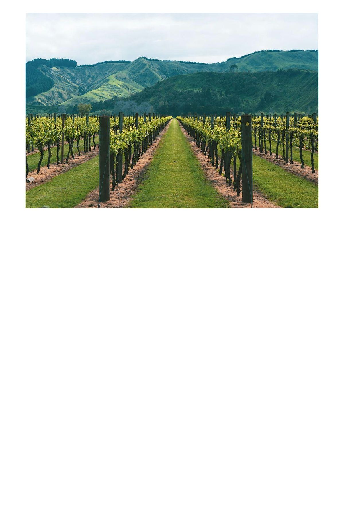 Wine Dinner:  The great Showdown Old World VS New World, 18 January | Event in Imperial Beach | AllEvents