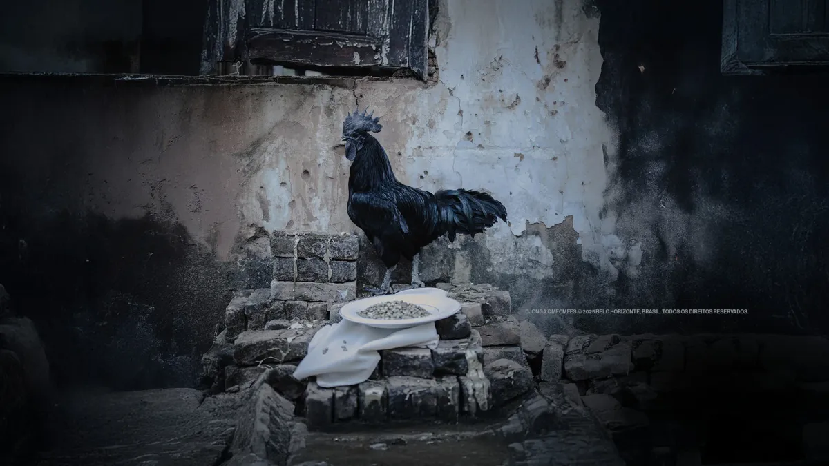 Djonga in Rio de Janeiro, 12 December | Event in Rio de Janeiro | AllEvents