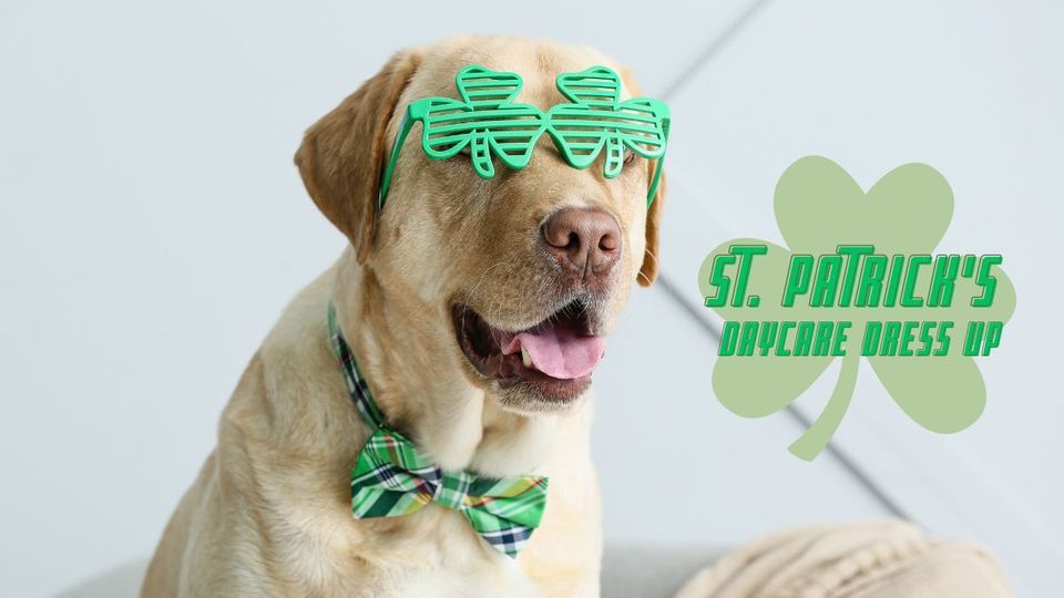 market square st patricks day knoxville tn