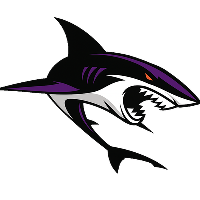 Houston Sharks Baseball logo