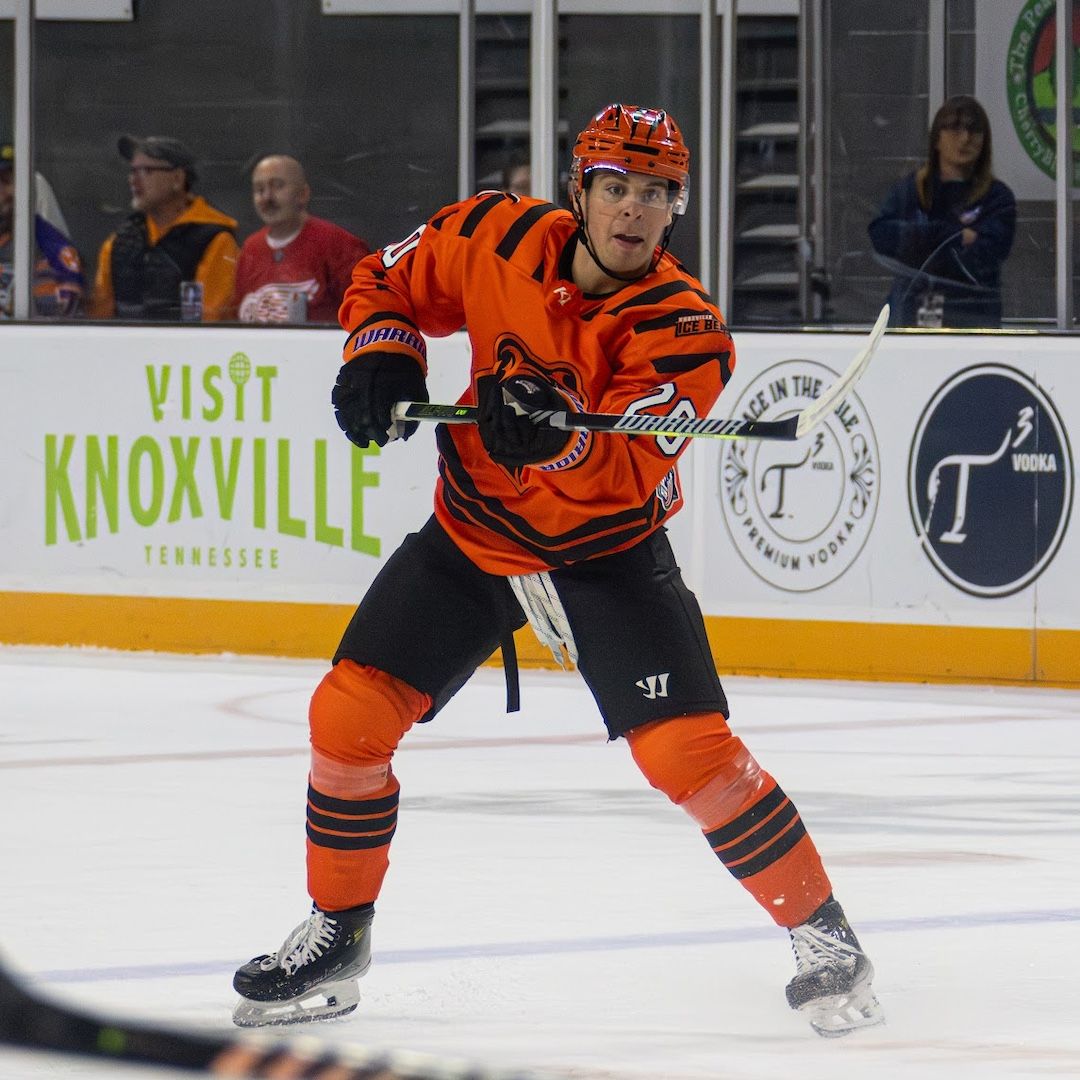 Knoxville Ice Bears at Birmingham Bulls at Pelham Civic Complex, 1 November | Event in Pelham | AllEvents
