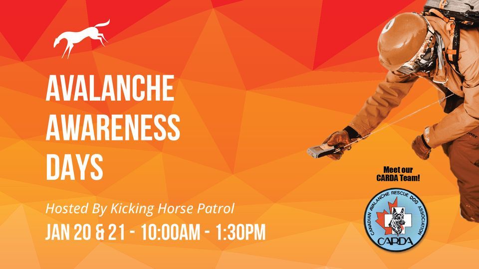 Avalanche Awareness Days Kicking Horse Mountain Resort Golden 20 avalanche-awareness-days-kicking-horse-mountain-resort-golden-20