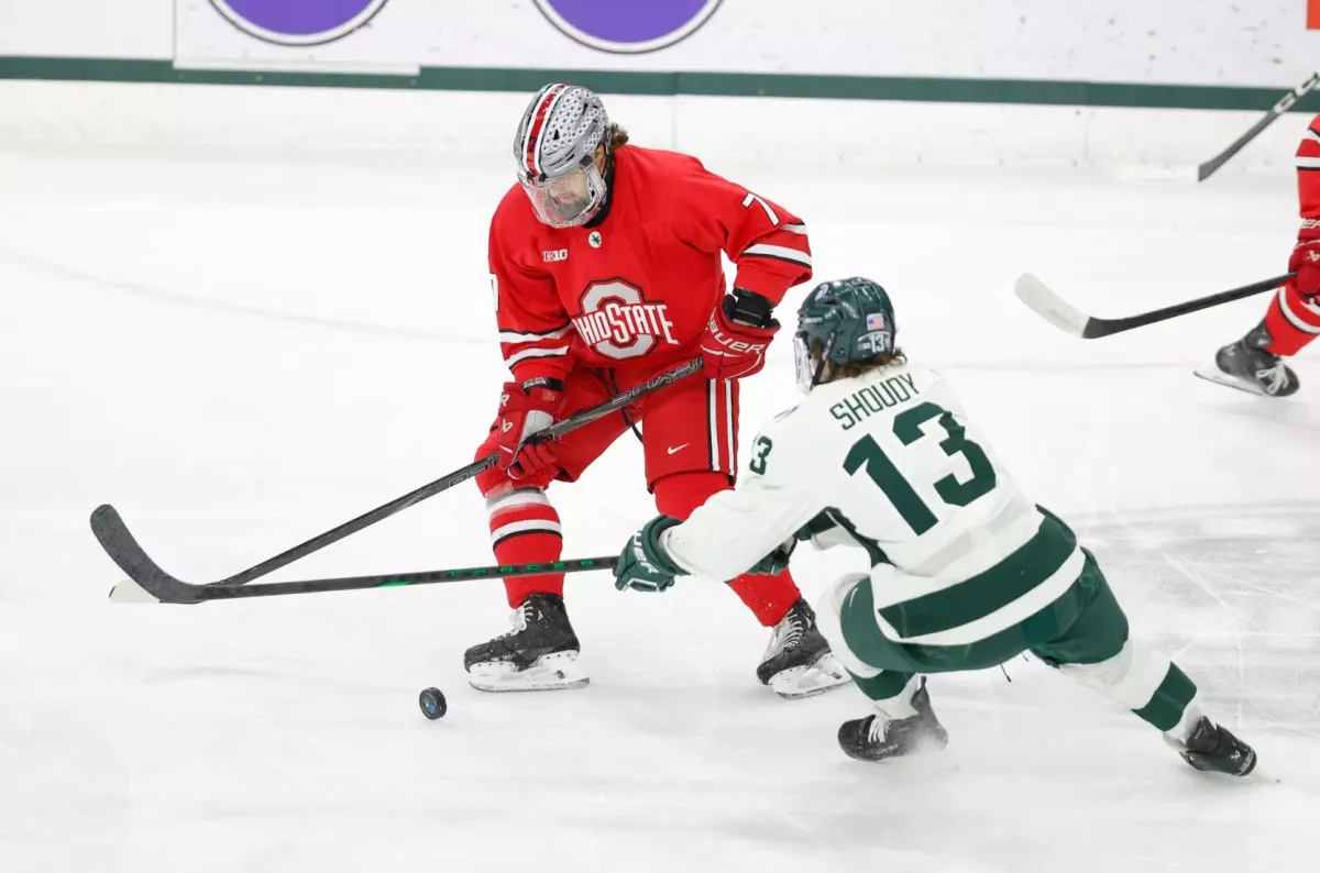 Michigan State Spartans at Ohio State Buckeyes Womens Volleyball, 23 November | Event in Columbus | AllEvents