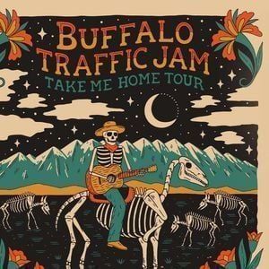 Buffalo Traffic Jam