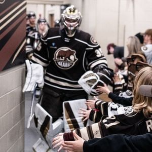 Hershey Bears at Rockford IceHogs at BMO Center