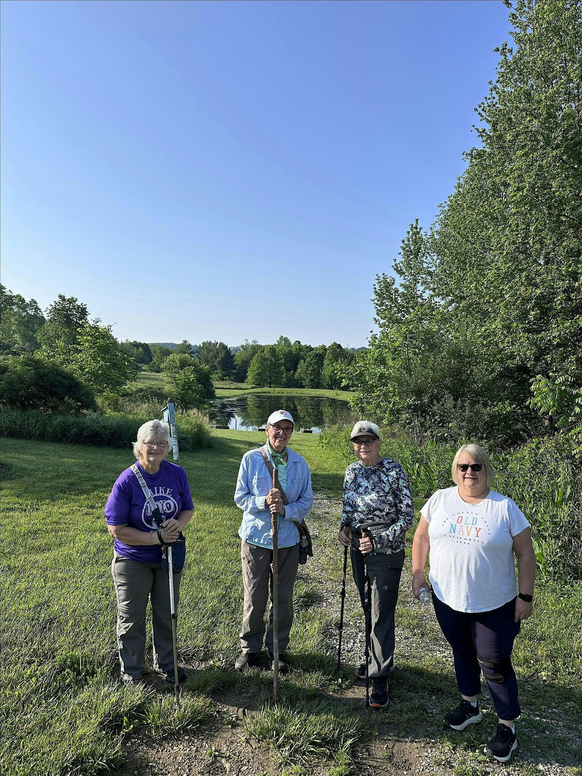 2026 Summer Walkabout - June, 10 June | Event in Dover | AllEvents