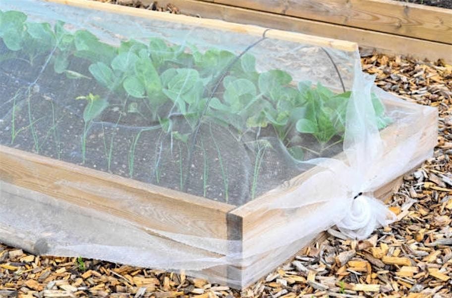 Getting Support for Regenerative, Organic Urban Ag Production, 12 December | Event in Vermillion | AllEvents