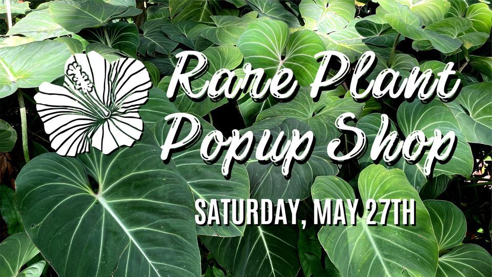 Rare Plant Popup Shop, Sweetwaters Coffee & Tea Shops at Creekside