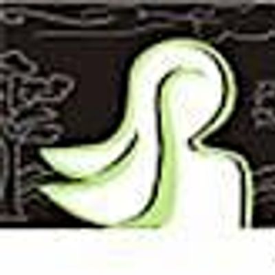 Women in the Environment logo