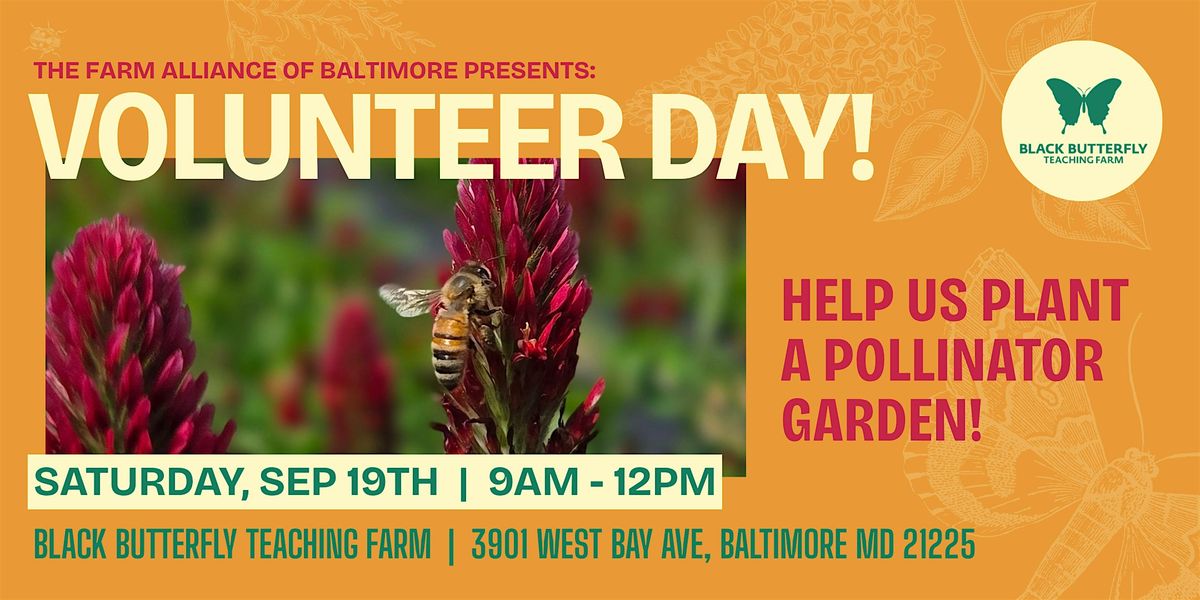Black Butterfly Farm Volunteer Day Sat Farm Alliance Black Butterfly Black Butterfly Farm Volunteer Day Sat Farm Alliance Black Butterfly