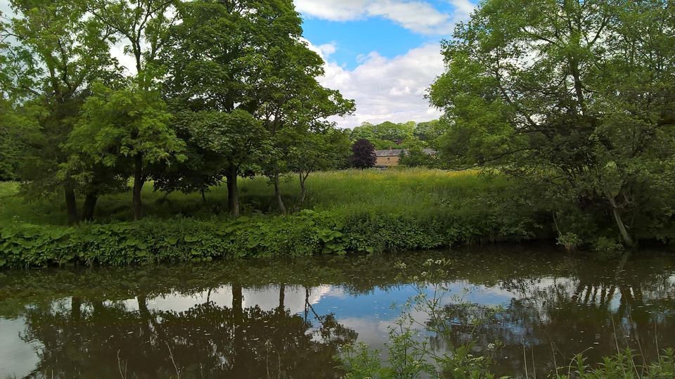 Sat Health Walk 23 Dec 2023Lintzford Circular , Lintzford Garden