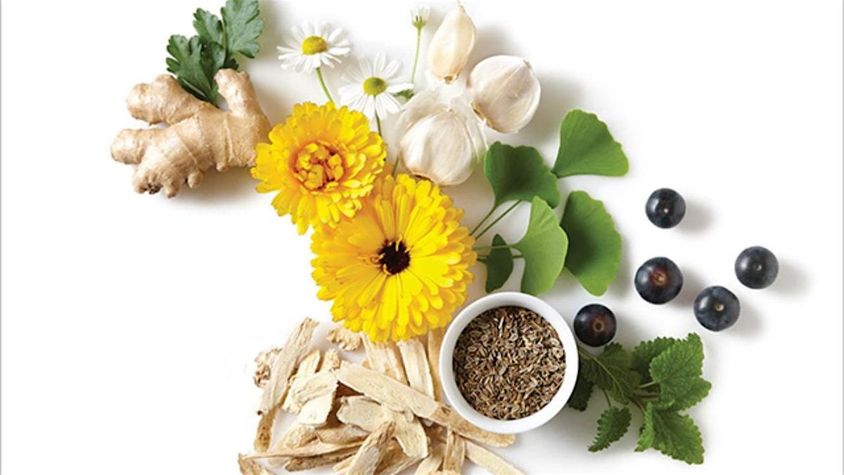 Medicinal Herbs, 25 April | Event in Sparks | AllEvents