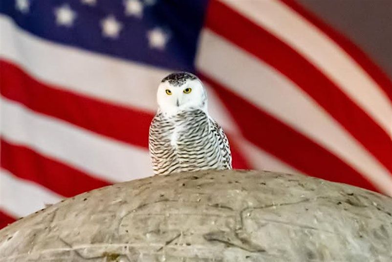 Photography Exhibit and a Holiday Giving Opportunity | Event in Washington | AllEvents