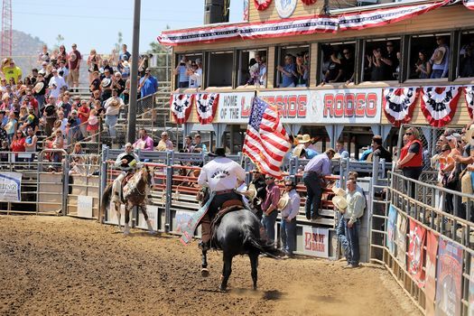 California Rodeo Schedule 2022 Barrel Race & Youth Qualifier, Lakeside Rodeo - Lakeside, Ca, March 20 2022  | Allevents.in