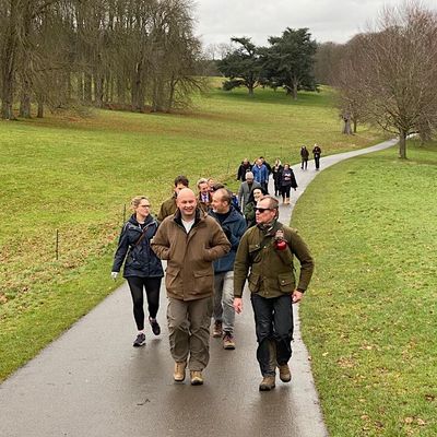 Business Netwalking
