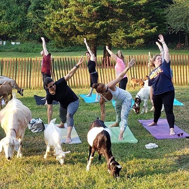 Smithtown Seminars Workshops Motivational Business Training Workshops In Smithtown Smithtown Festival Day 2022