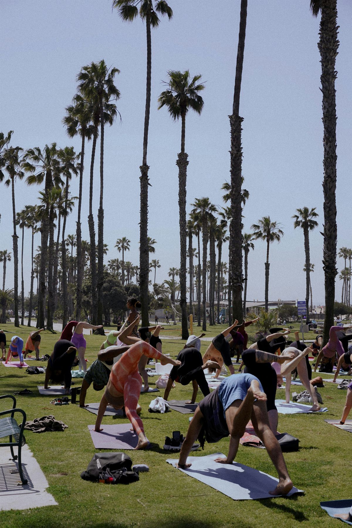Saturday Morning Beach View Yoga | Event in Santa Monica | AllEvents