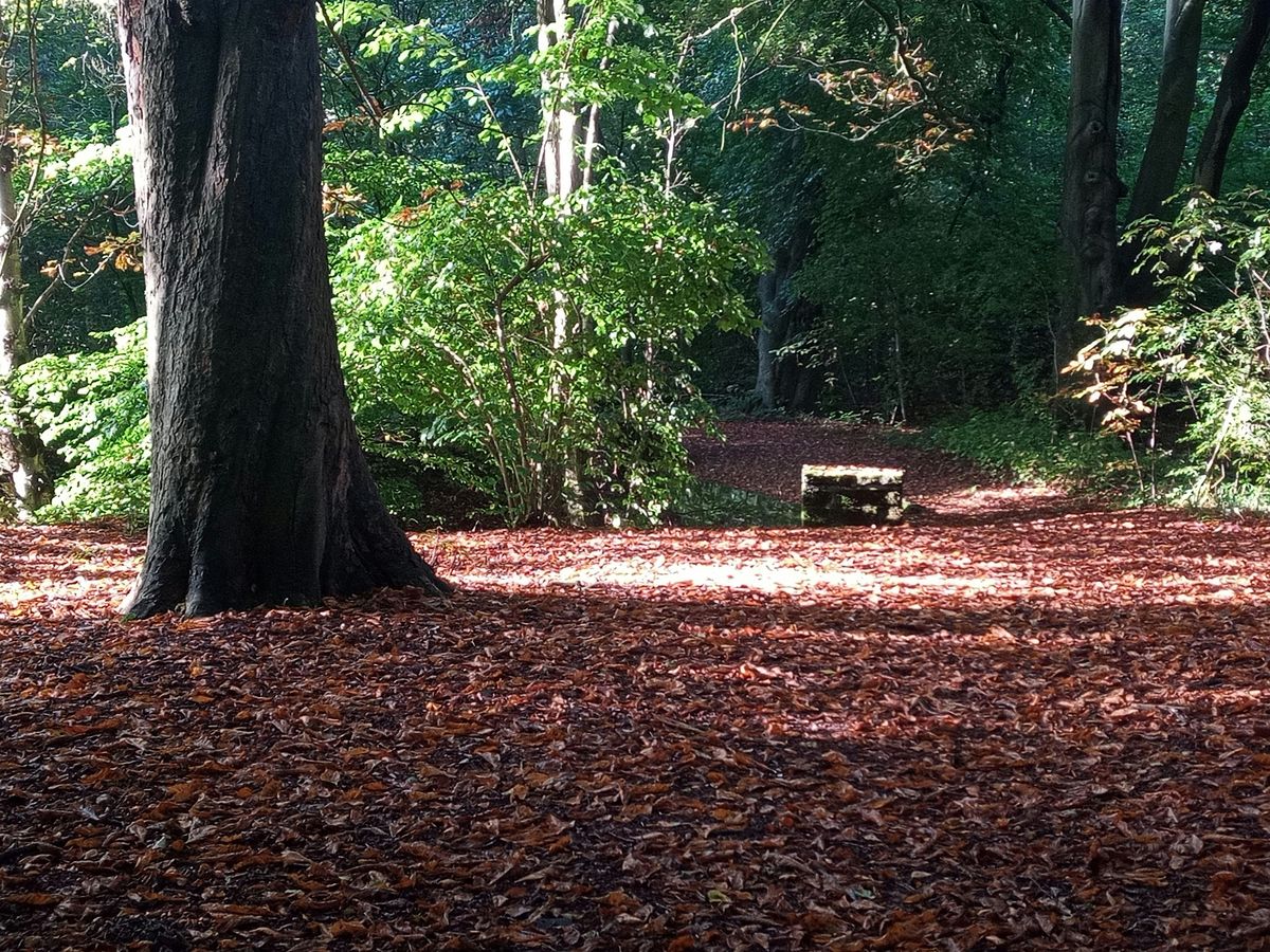 Therapists' personal development in nature, 18 January | Event in Haydock | AllEvents