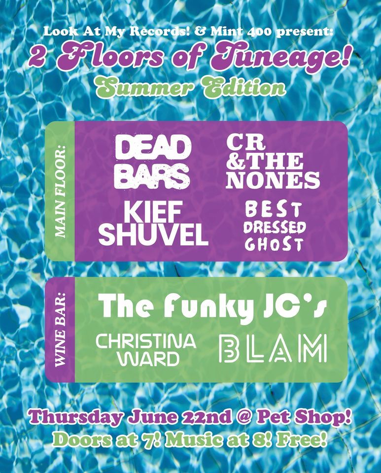 Look At My Records! & Mint 400 Present Two Floors of Tuneage Summer Edition, Pet Shop JC