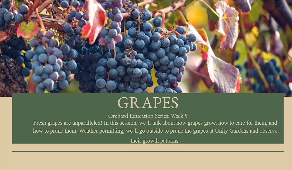 Grapes: Orchard Education Series, 22 February | Event in South Bend | AllEvents