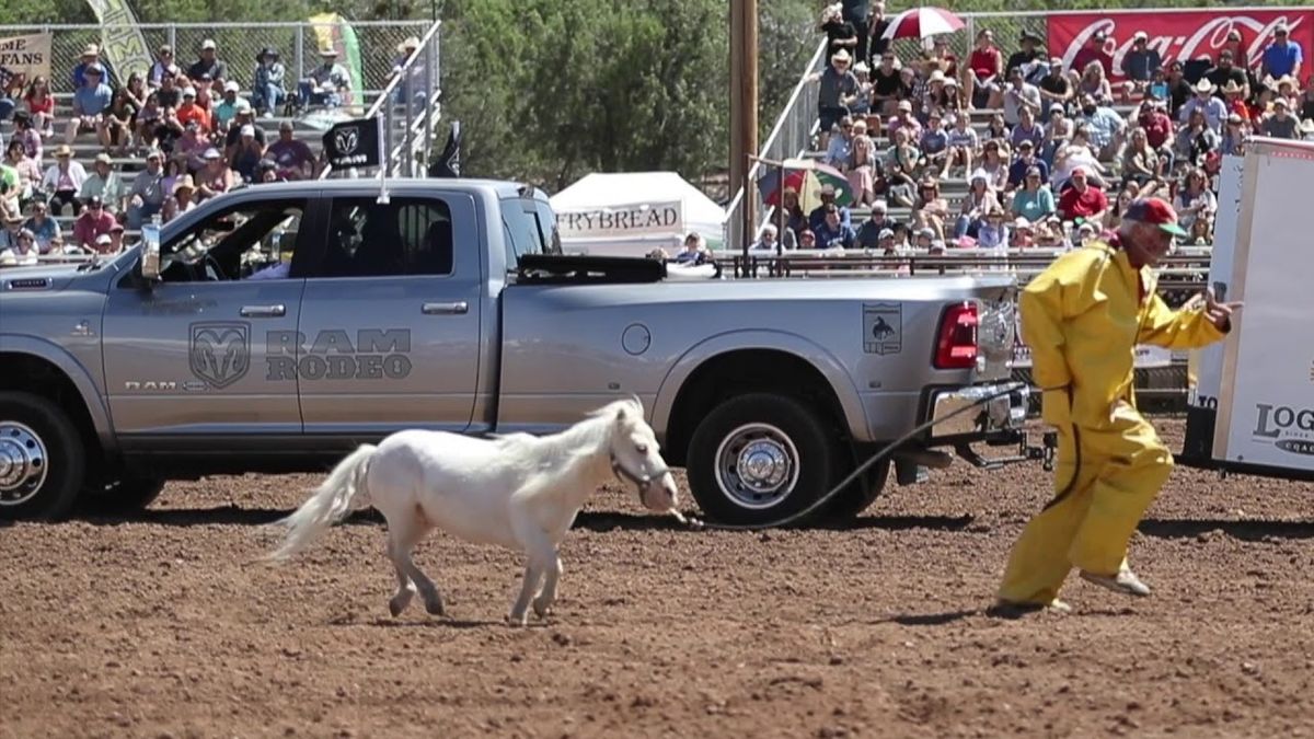 The World's Oldest Continuous Rodeo, 14 August | Event in Payson | AllEvents