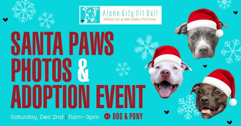 Alamo City Pit Bull Santa Paws Photo & Adoption Event Dog & Pony, Dog