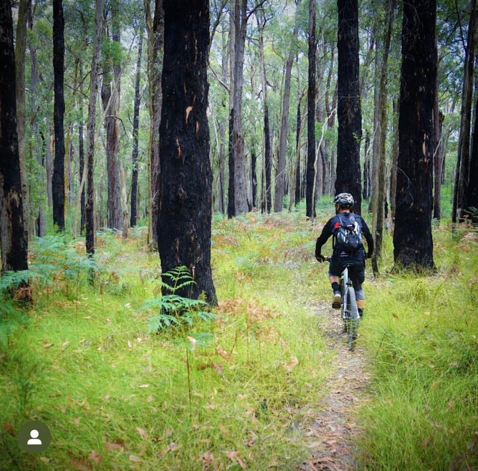 Rokeby Sessions, Rokeby, Victoria, Australia, Moe, December 21 2023