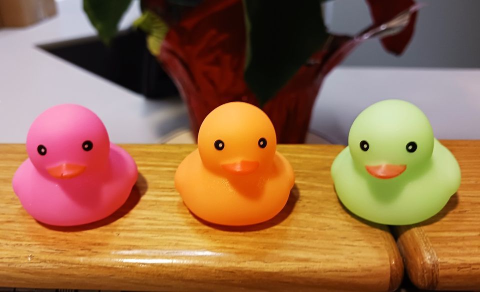 National Rubber Ducky Day Scavenger Hunt, Neal Smith National Wildlife